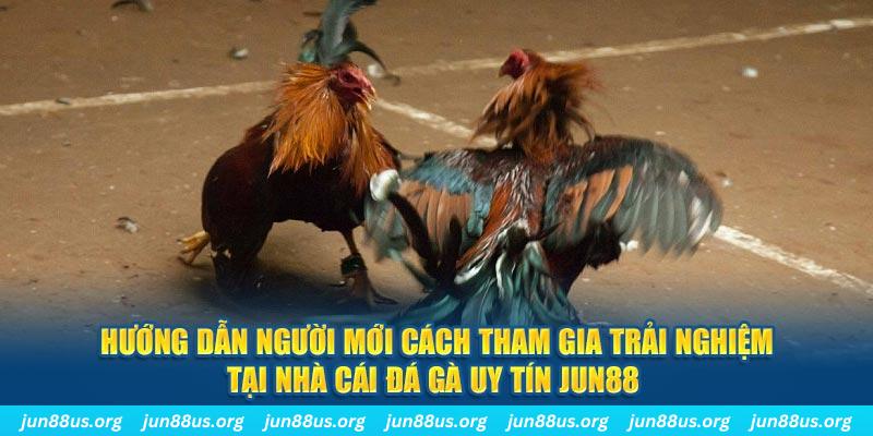 loi game dot kich ket noi may chu that bai