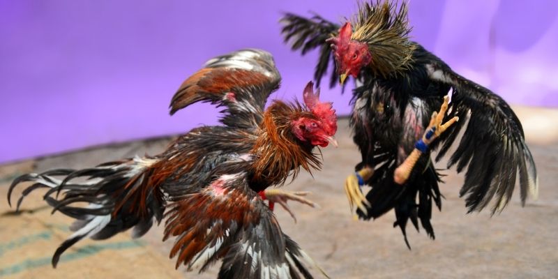 b52 win KM Game Bài 3d