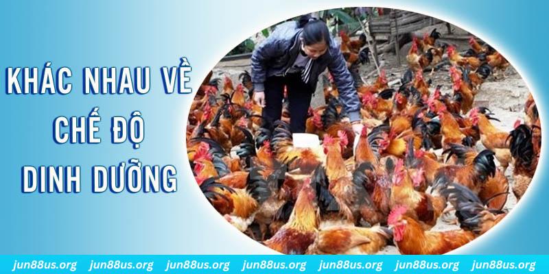 b52 win xổ số miền nam thứ năm hàng tuần