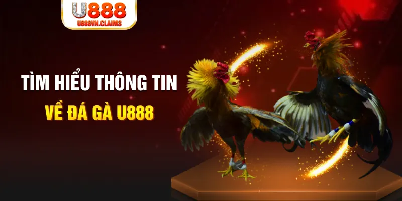 b52 win đăng nhập tiến lên miền nam hàng đầu