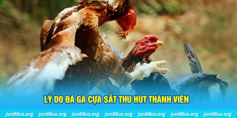 b52 win chiếm slot là gì