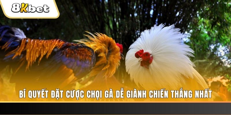 b52 win xổ số thứ hai hàng tuần