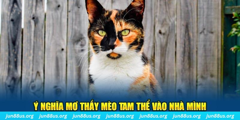 b52 win RTG Bắn cá