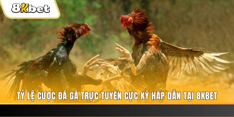 b52 win baccarat online bịp như thế nào