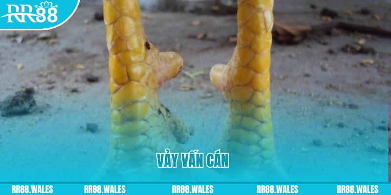 b52 win đăng nhập nổ hũ hôm nay