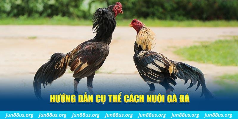 b52 win đăng nhập sòng bạc số 1