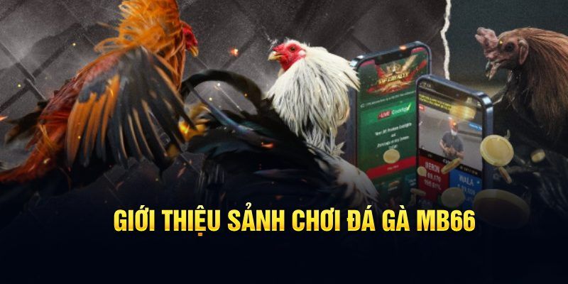 b52 win đăng nhập poker hôm nay